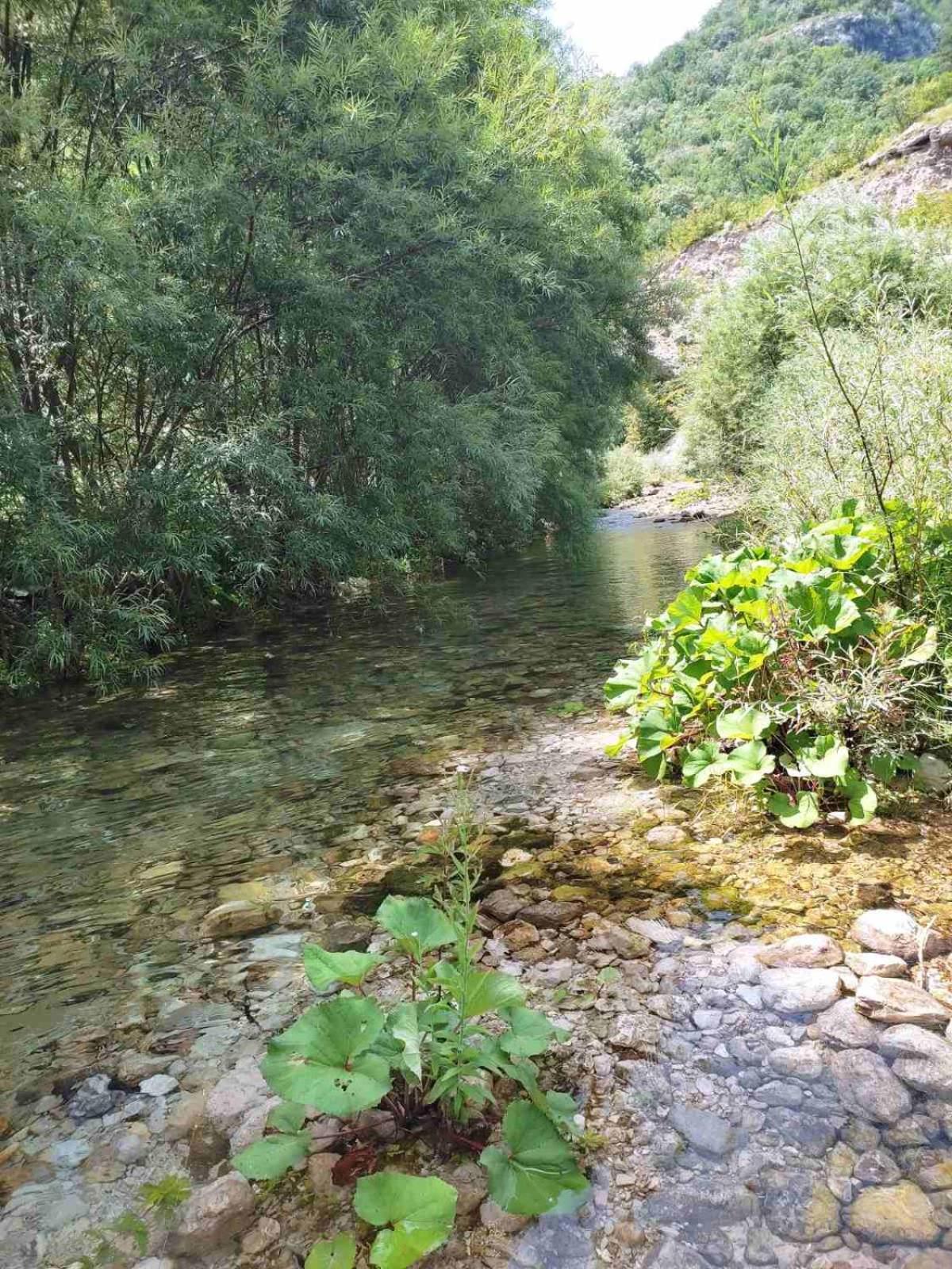 Kuca Za Odmor Diva Villa Mostar Luaran gambar